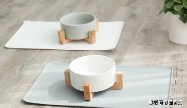 猫舍必备物品清单