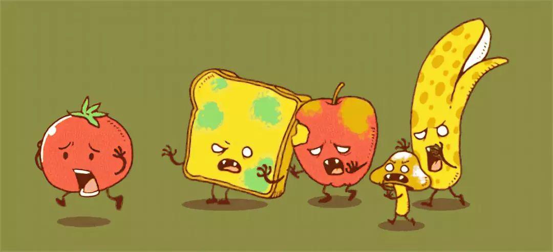 三十种绝对不能给猫吃的食物！