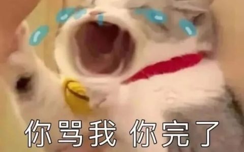 猫舍必看疾病科普│猫巨结肠症：关于成年猫咪便秘那些事...