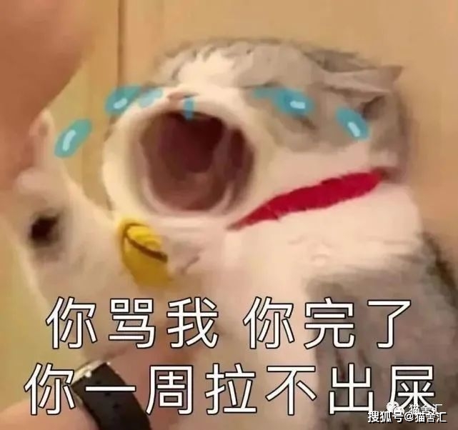 猫舍必看疾病科普│猫巨结肠症:关于成年猫咪便秘那些事...