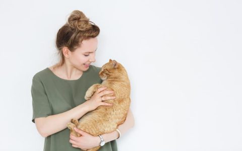 如何正确地抱起一只猫（含训练指南）