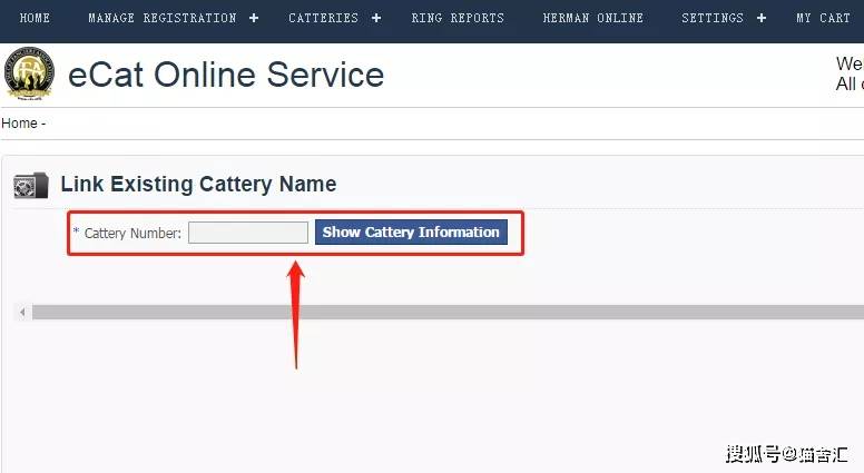 如何做猫舍│CFA猫舍协会证书注册