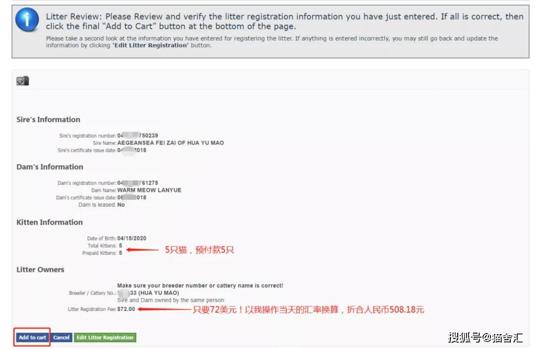 如何做猫舍│CFA猫舍协会证书注册