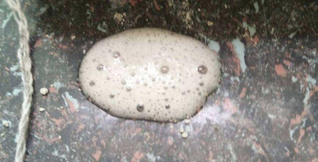 猫咪呕吐透明液体或泡沫可能是什么原因？