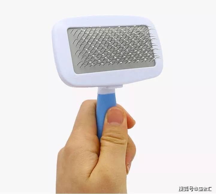 猫舍必备物品清单