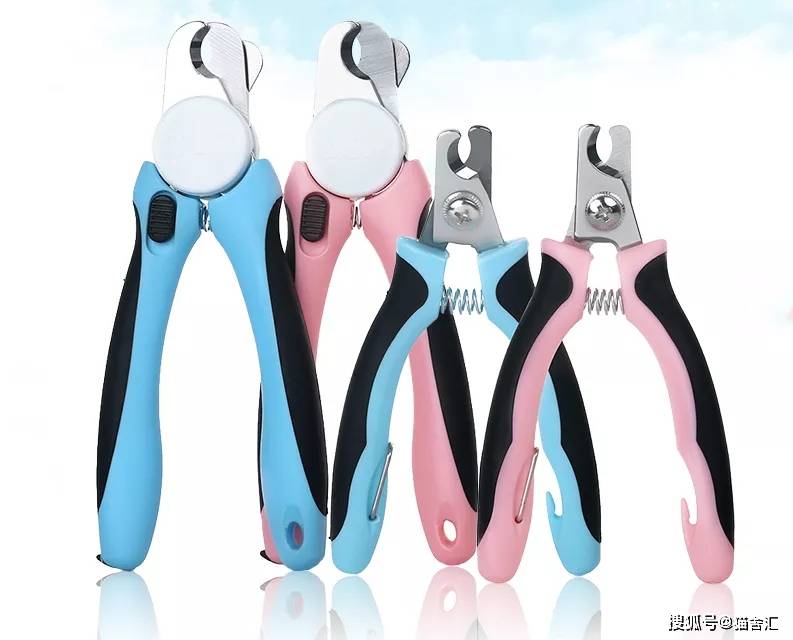 猫舍必备物品清单