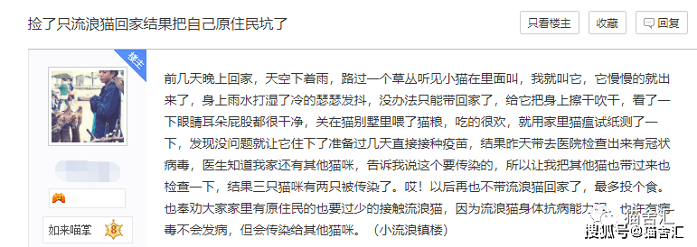 猫舍必看疾病科普│猫艾滋:需要重视但没那么可怕...