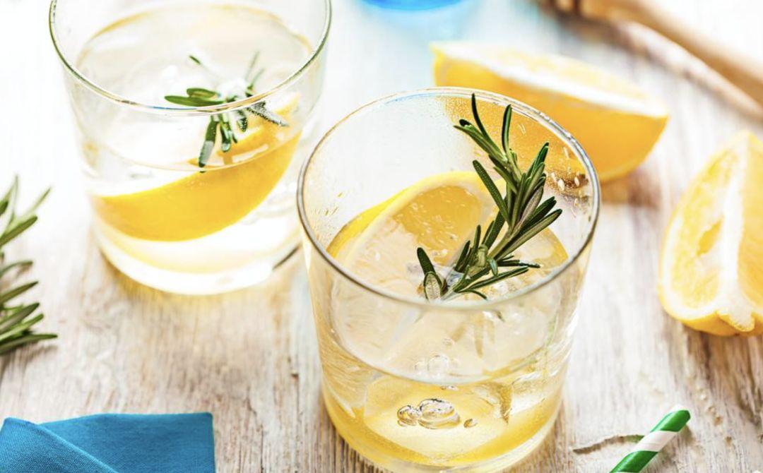 迷迭香对猫有哪些好处？