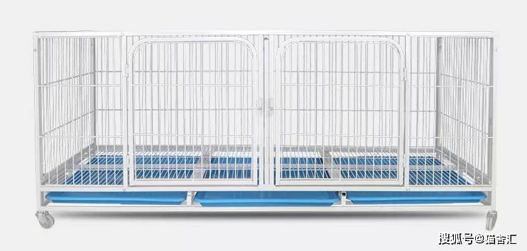 猫舍必备物品清单