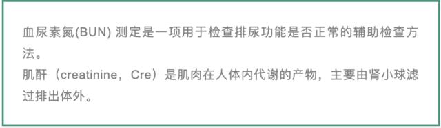 专为肾病猫设计的生骨肉食谱