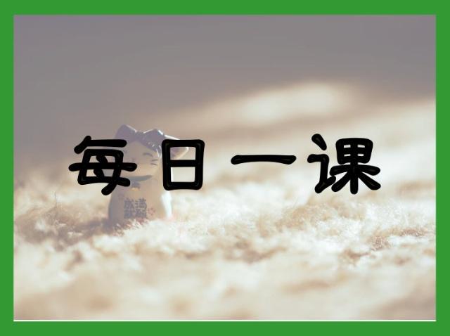 猫的衣原体感染详细解析之一