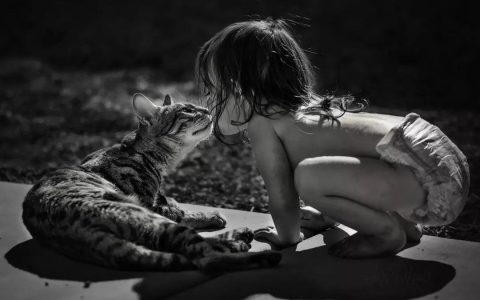 婴儿与猫在一起茁壮成长