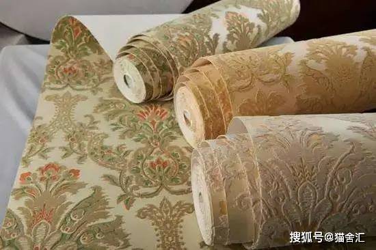 猫舍必备物品清单