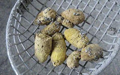 猫咪便秘的整体预防和治疗方案