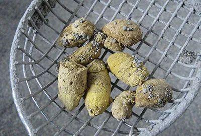 猫咪便秘的整体预防和治疗方案