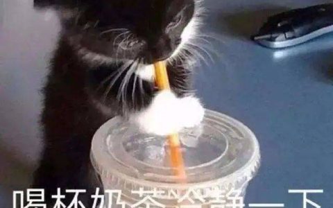 猫舍必看疾病科普│什么？猫咪也会有糖尿病？