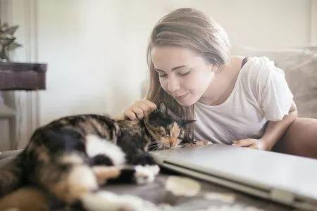 我死了，我的猫怎么办？