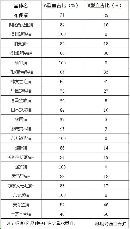 如何做猫舍│如何给猫接生——新生小猫接生及护理