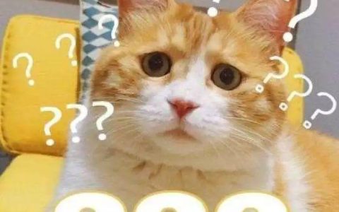 猫咪攻击行为最常见的一个原因（重定向攻击）