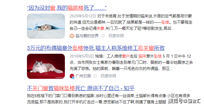 烫伤、高坠、触电···猫咪应急抢救指南