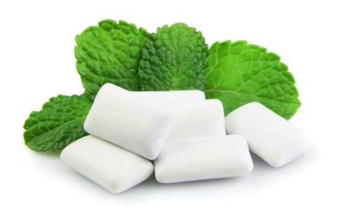 这 19 种人类日常食物可能对猫狗有毒