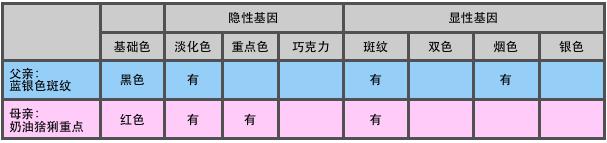猫咪颜色遗传基础知识