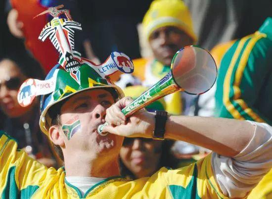 两只猫打架，你该怎么办？