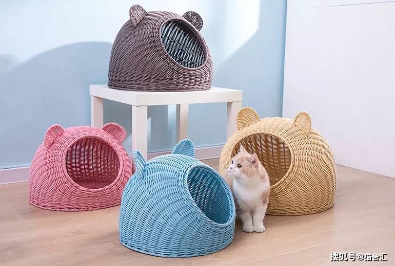 猫舍必备物品清单