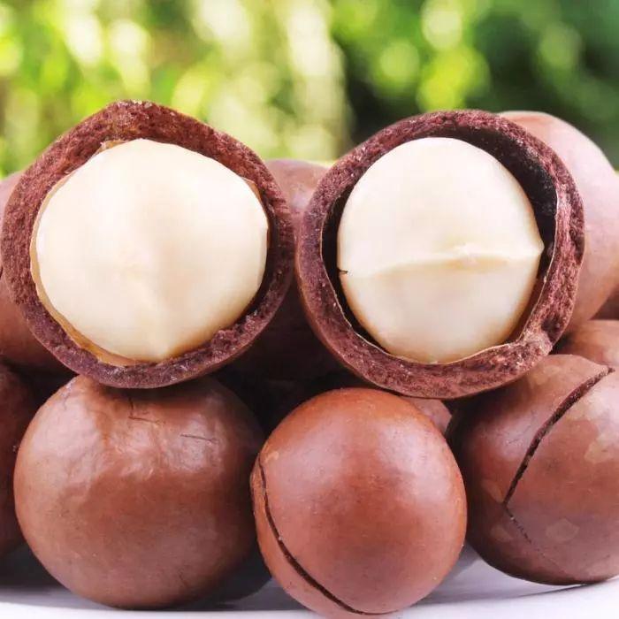 三十种绝对不能给猫吃的食物！