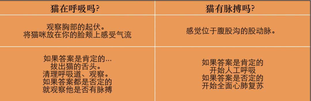 危急时刻，第一时间抢救猫咪的方法