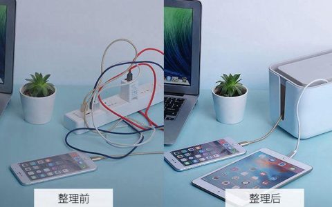 为什么有的猫会咬电线？