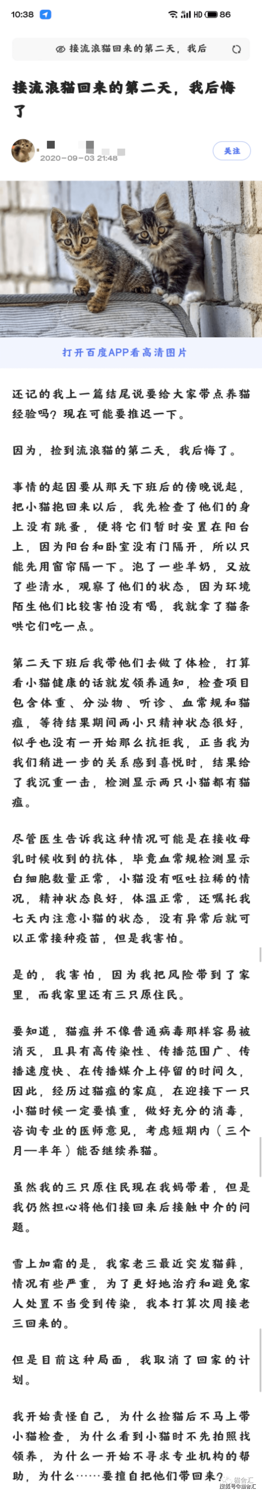 猫舍必看疾病科普│猫艾滋:需要重视但没那么可怕...