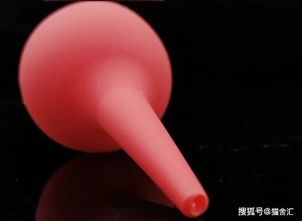 如何做猫舍│如何给猫接生——新生小猫接生及护理