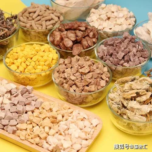 如何做猫舍│种猫的饮食管理:猫粮、生肉、营养素、零食