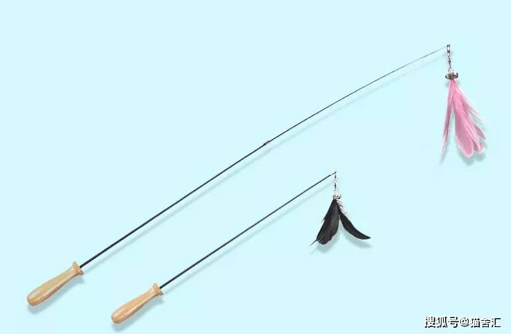 猫舍必备物品清单