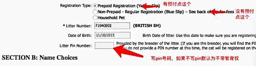 如何做猫舍│CFA猫舍协会证书注册