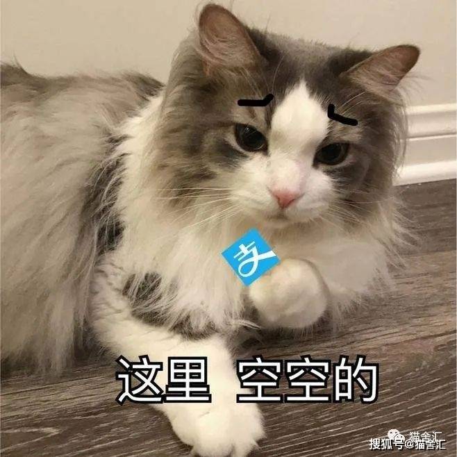 猫舍必看疾病科普│配种一直配不上？可能是公猫的“小铃铛”有问题...