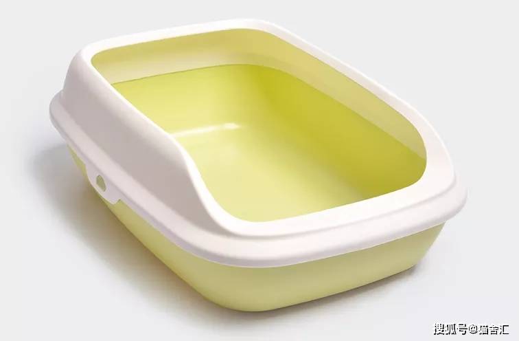 猫舍必备物品清单