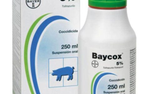 治疗猫咪球虫病最简单的方法