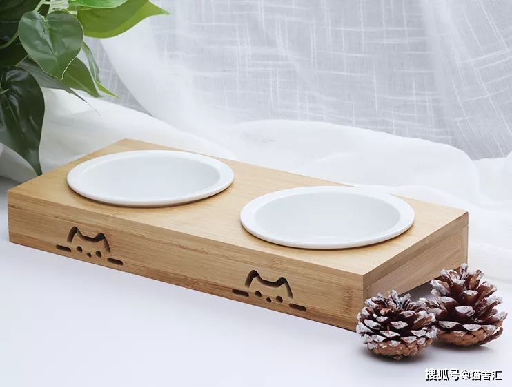 猫舍必备物品清单