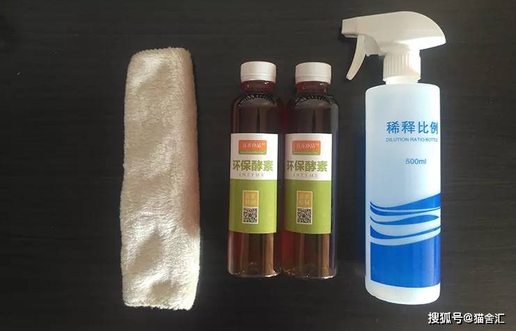 如何做猫舍│去除公猫尿骚味的方法