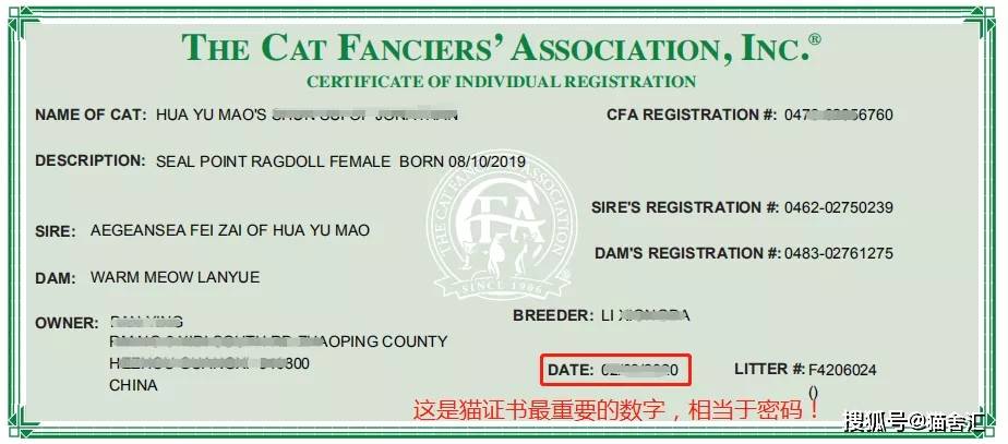 如何做猫舍│CFA猫舍协会证书注册