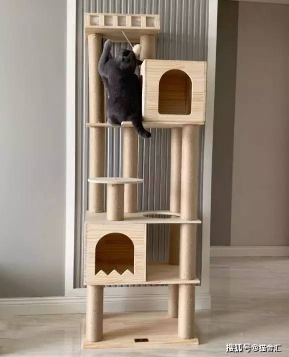 猫舍必备物品清单