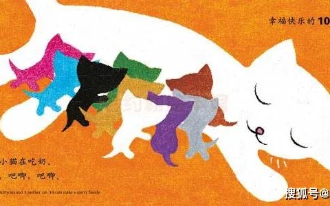 猫舍养猫和宠物家庭养猫有什么区别？