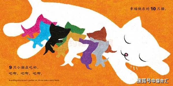 猫舍养猫和宠物家庭养猫有什么区别？