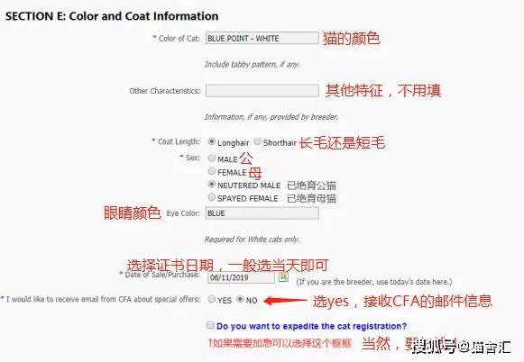 如何做猫舍│CFA猫舍协会证书注册