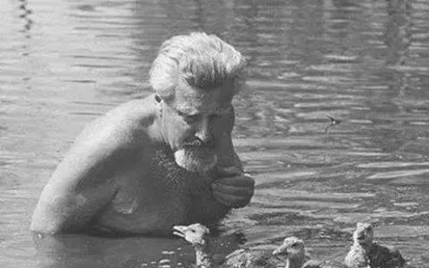 在猫咪的印记行为期（出生后 2 - 7 周），你怎么做才是对的？