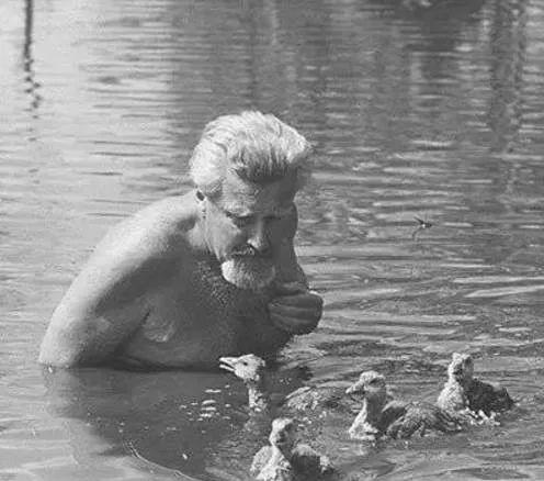 在猫咪的印记行为期（出生后 2 - 7 周），你怎么做才是对的？