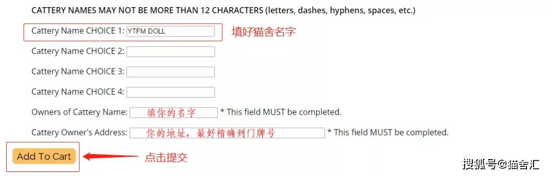 如何做猫舍│CFA猫舍协会证书注册