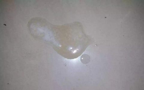 猫咪呕吐透明液体或泡沫可能是什么原因？